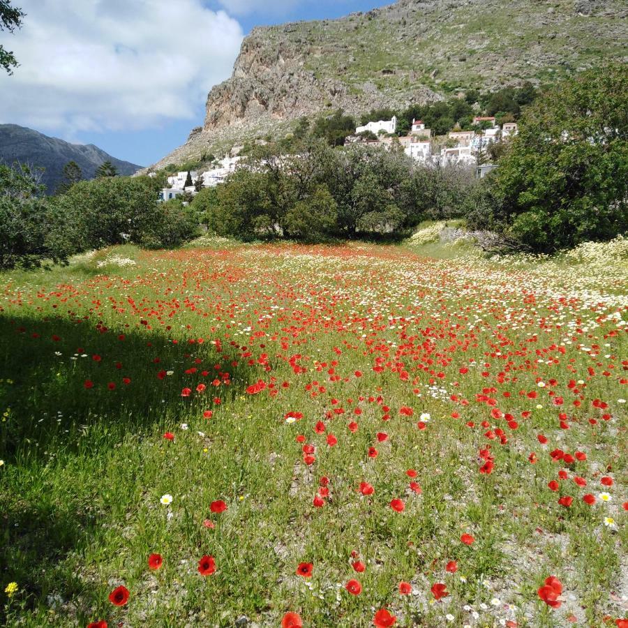Tilos Island House Megálon Choríon Eksteriør billede