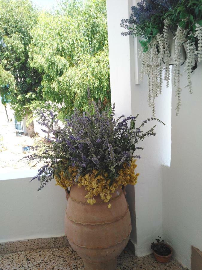 Tilos Island House Megálon Choríon Eksteriør billede